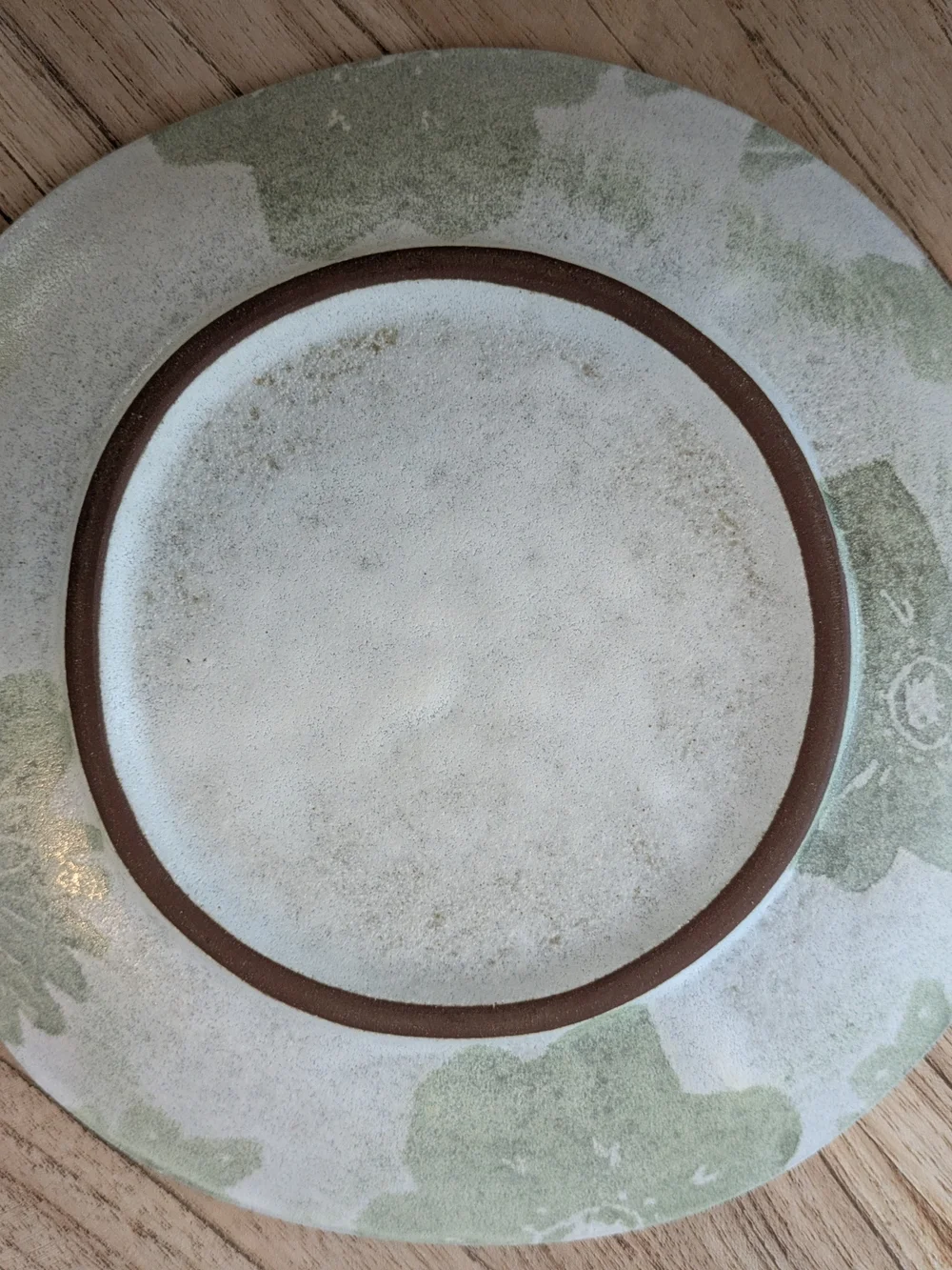 Anthropologie Never Used Floral Stoneware Dinner Plate in Sage Green